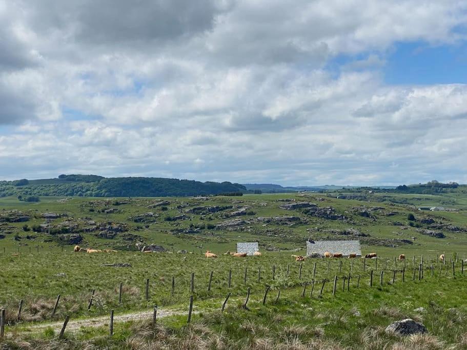 Buron Coeur D'Aubrac Villa Marchastel  Exteriör bild
